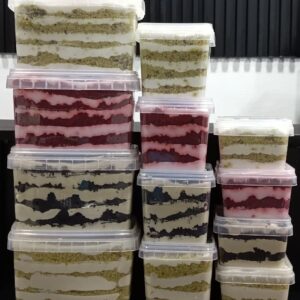 Cake Parfait (Big • Medium • Small)